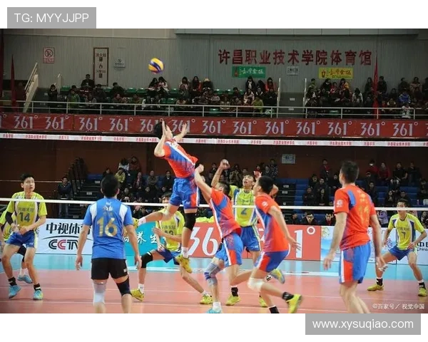 成都排球队的团队协作揭秘：排球巨献背后的默契与拼搏精神