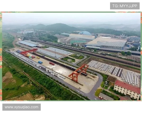 杭州排球队的反击革新之路探秘与未来展望