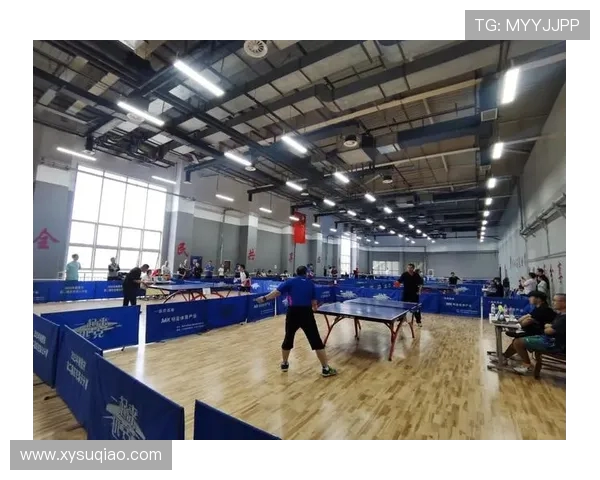 武汉乒乓球队的转型之路与深度解析乒乓球运动的未来发展 武汉乒乓球队的转型之路与深度解析乒乓球运动的未来发展