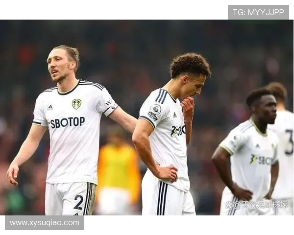 热刺对阵利兹精彩视频直播回放及赛后分析全攻略