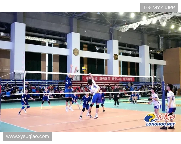 南京排球队在全国锦标赛中的实力展现与未来发展潜力分析